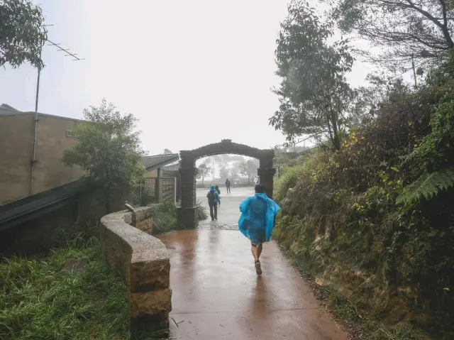 🏞대자연 풍경이 눈앞에서 펼쳐지는 “블루 마운틴스 국립공원”