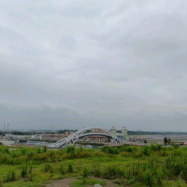 望海步道草地區