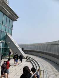 台湾　台湾観光　台北101展望台からの景色は圧巻！