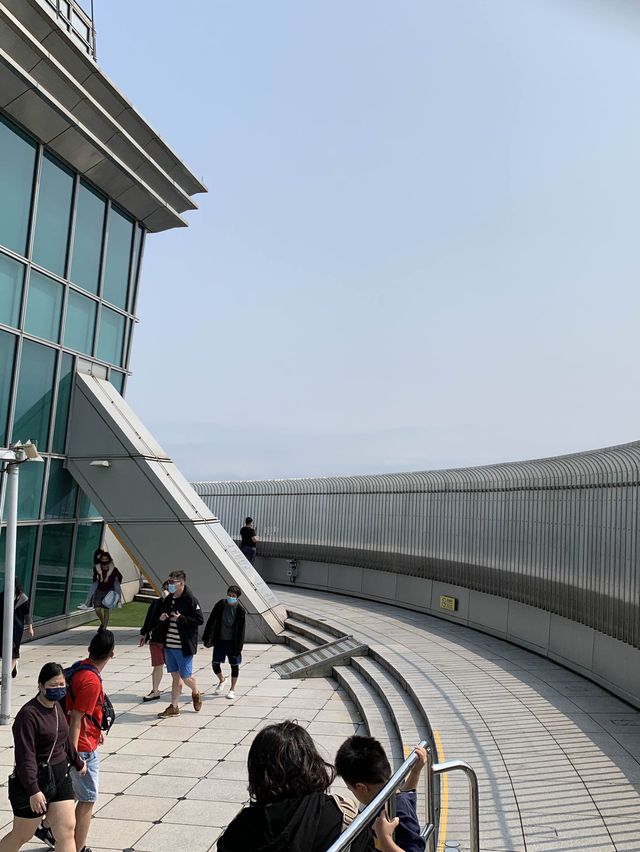 台湾　台湾観光　台北101展望台からの景色は圧巻！