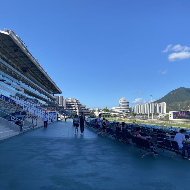 沙田馬場初體驗！新手增長見識，值得一試