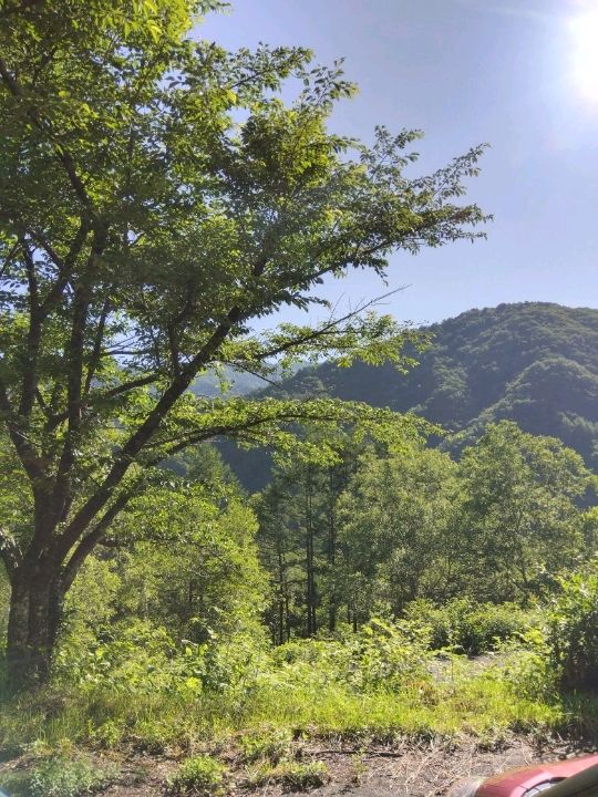 長野県のホテル ヒルトップ