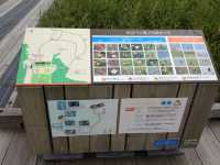 北海道　北海道観光　北海道らしい風景　サロベツ原生花園で和む！