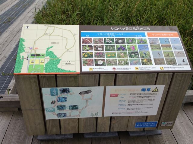 北海道　北海道観光　北海道らしい風景　サロベツ原生花園で和む！