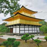 金閣寺周辺おすすめグルメ４選