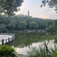 東莞🌿榴花公園🌳（榴花塔🏯）一日遊🧳