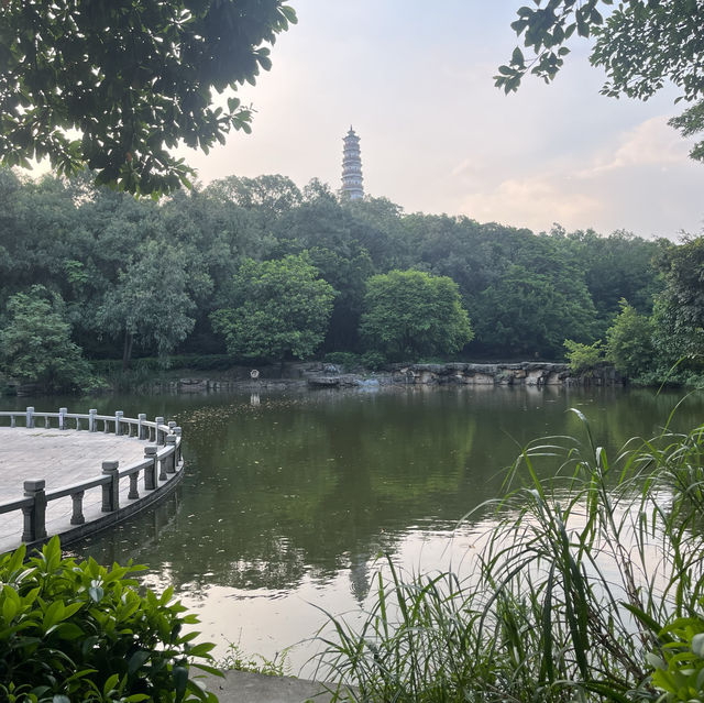 東莞🌿榴花公園🌳（榴花塔🏯）一日遊🧳