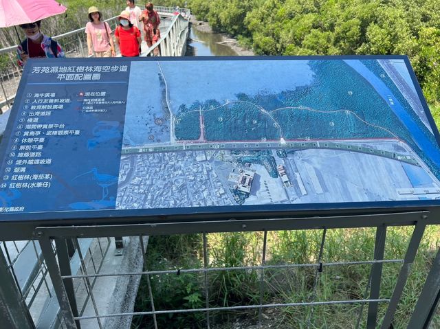 彰化-漫步在紅樹林🌸|芳苑海空步道|（貼近大自然）