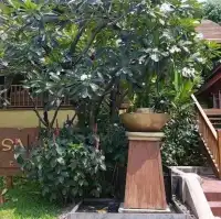 Buri Rasa Village Samui