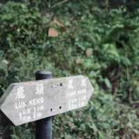 探秘香港"綠野仙蹤〞谷埔/鹿頸