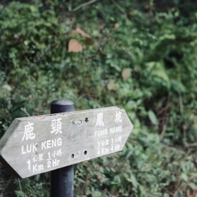 探秘香港"綠野仙蹤〞谷埔/鹿頸