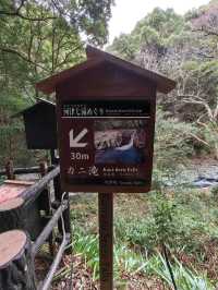 Amazing 7 waterfalls Izu Island 