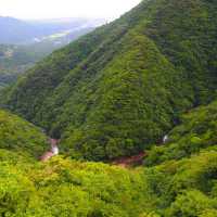 【屋久島】ジブリの世界のような島