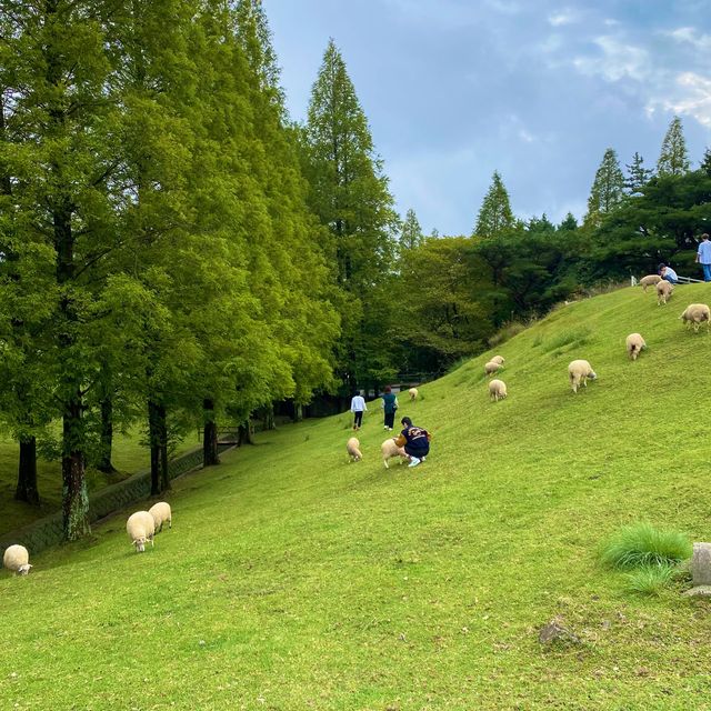 神戸市立六甲山牧場