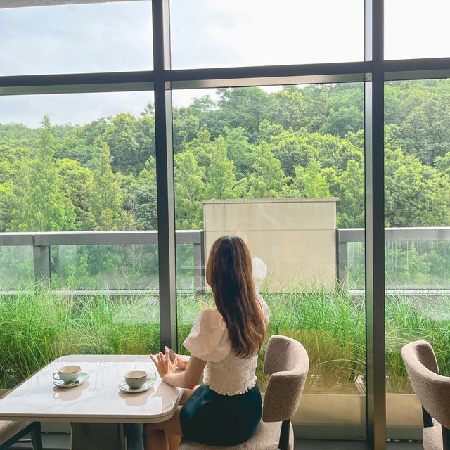 서울 근교 숲세권 신상 호텔에서 호캉스🌿🌿