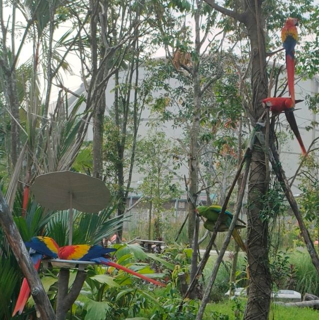 Birdie moment @ bird paradise 