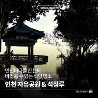 인천바다를 한 눈에 볼 수 있는 석양 명소 🌳 인천 자유공원 & 석정루