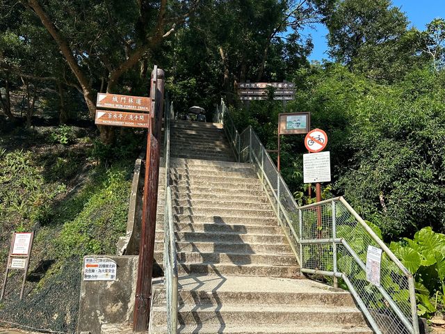 迷人的水塘與白千層，踏上城門水塘之旅