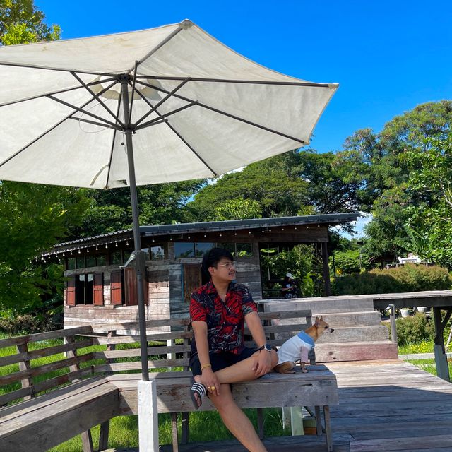 มุมนาคาเฟ่ ลพบุรี