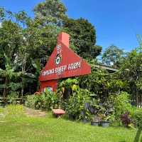 lansaka sheep farm