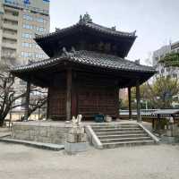 2023年 福岡観光！「東長寺」