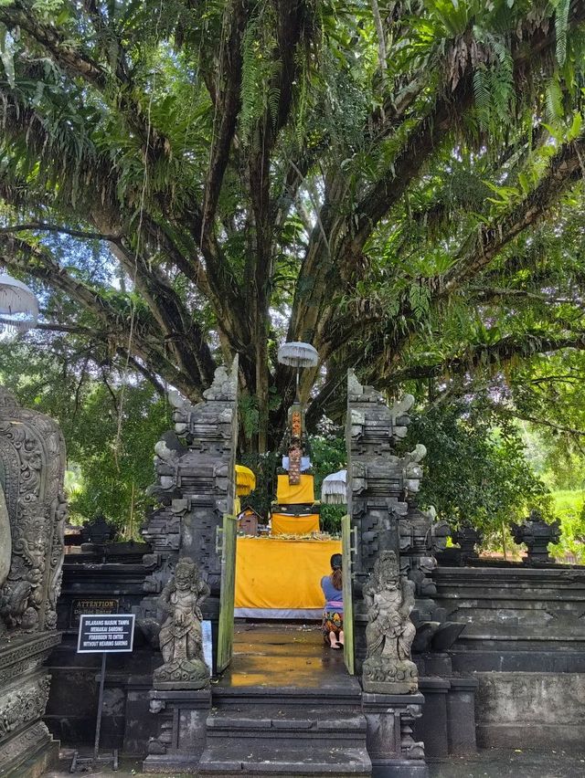 Cleansing Ritual in Bali :  Melukat