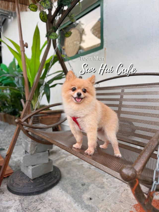 📍屯門｜村裡的綠色小屋🛖寵物友善咖啡店
