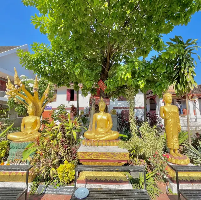 Luang Prabang's Golden Tranquility Encore