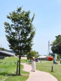 【福島】トマトのテーマパーク！？🍅🎢 フォトスポットからトマト狩りまで楽しめる穴場スポット🥫✨ 