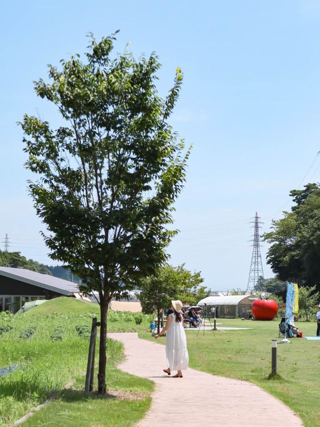 【福島】トマトのテーマパーク！？🍅🎢 フォトスポットからトマト狩りまで楽しめる穴場スポット🥫✨ 