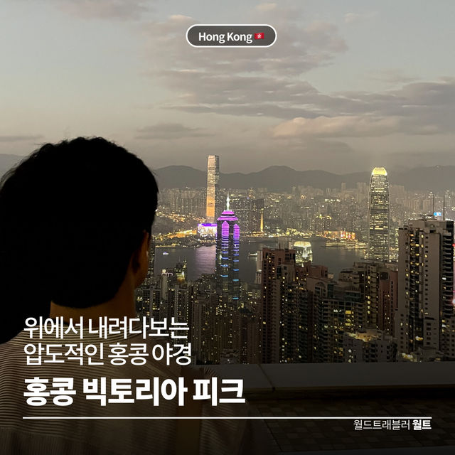 위에서 내려다보는 압도적인 홍콩 야경 🚞 빅토리아 피크