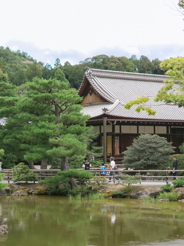 京都 | 朝聖金碧輝煌嘅金閣寺🤩