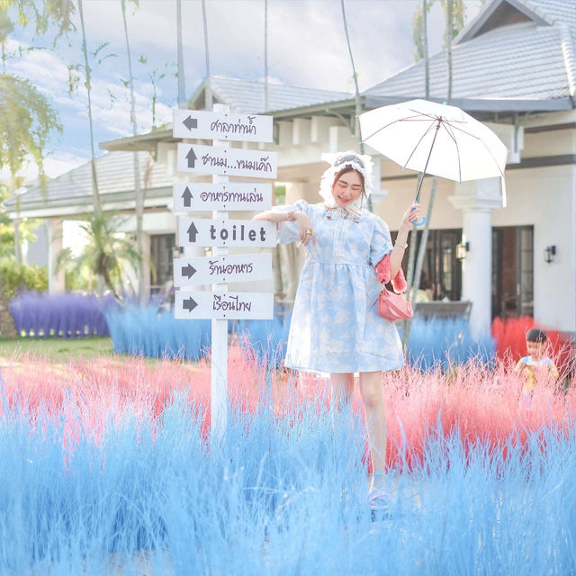 Memory House Cafe ทุ่งหญ้าหลากสี