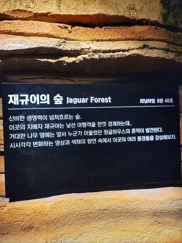 겨울 경주에서 만난 영화 아바타속 비밀의 숲🌳