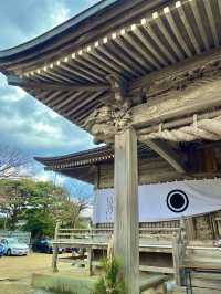 【鳥取　琴浦】辰年の開運神社