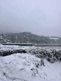 눈에 뒤덮인 한옥 마을이 서울에 있다고!?❄️