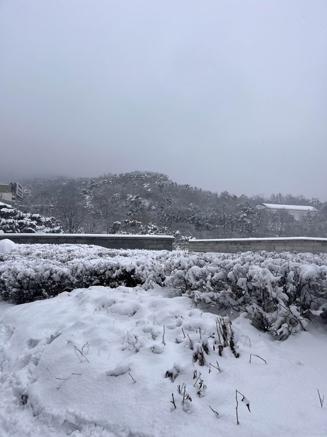 눈에 뒤덮인 한옥 마을이 서울에 있다고!?❄️