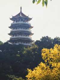 湖光山色，中山龍山公園的自然之旅
