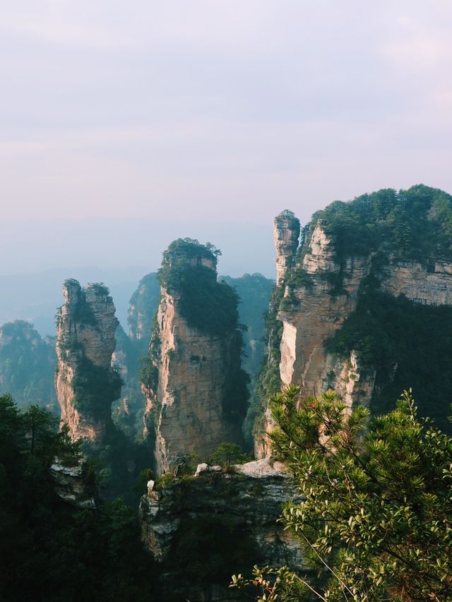 The Avatar Mountains - Zhangjiajie🌲🏔️