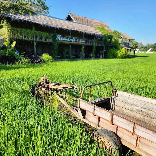 ที่เธอมองมา เพราะเธอมีนา หรือว่ามีใจ☕ มีนาคาเฟ่