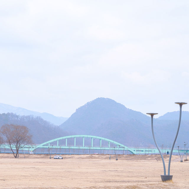 겨울 경치의 진수 자라섬