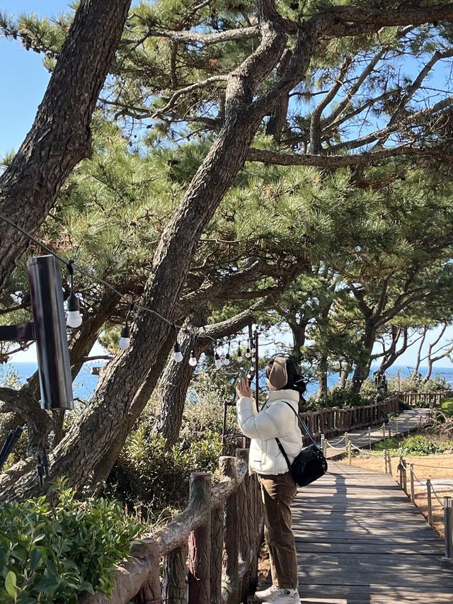 제주파르나스호텔에서 하루종일 수영하고 산책하고 중문 한 바퀴💨 호캉스💎