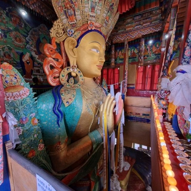 印度 拉達克 班公錯湖