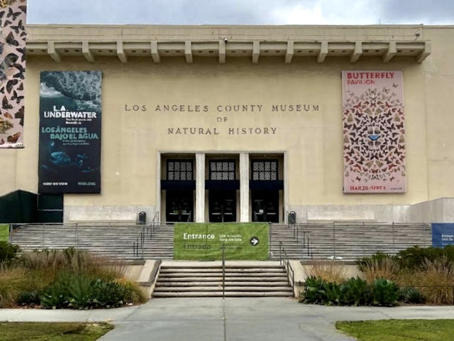 Los Angeles County Museum of Art