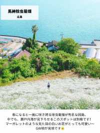 【日本の絶景】春休みからGWまで見頃あり！西日本のお花見おすすめスポット！