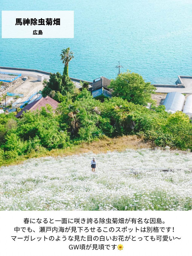 【日本の絶景】春休みからGWまで見頃あり！西日本のお花見おすすめスポット！