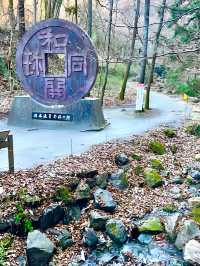 【聖神社/埼玉県】銭神様見守る金運アップご利益の神社