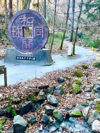 【聖神社/埼玉県】銭神様見守る金運アップご利益の神社