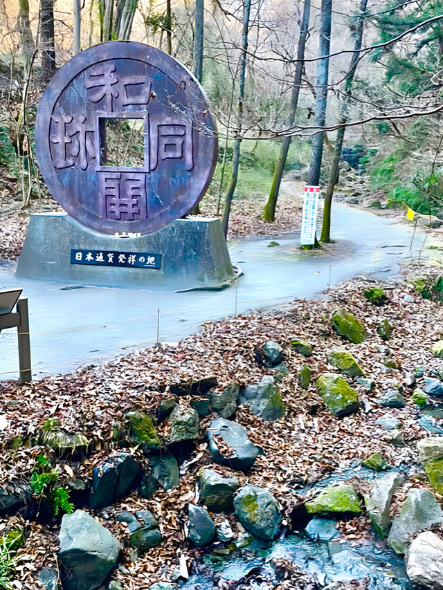 【聖神社/埼玉県】銭神様見守る金運アップご利益の神社