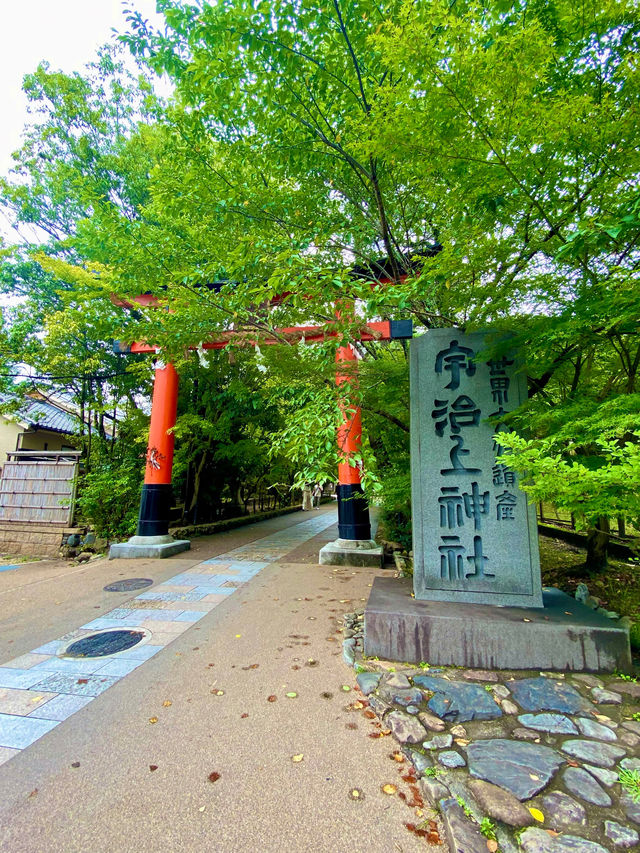 【日本宇治】寧靜致遠的古都一日遊